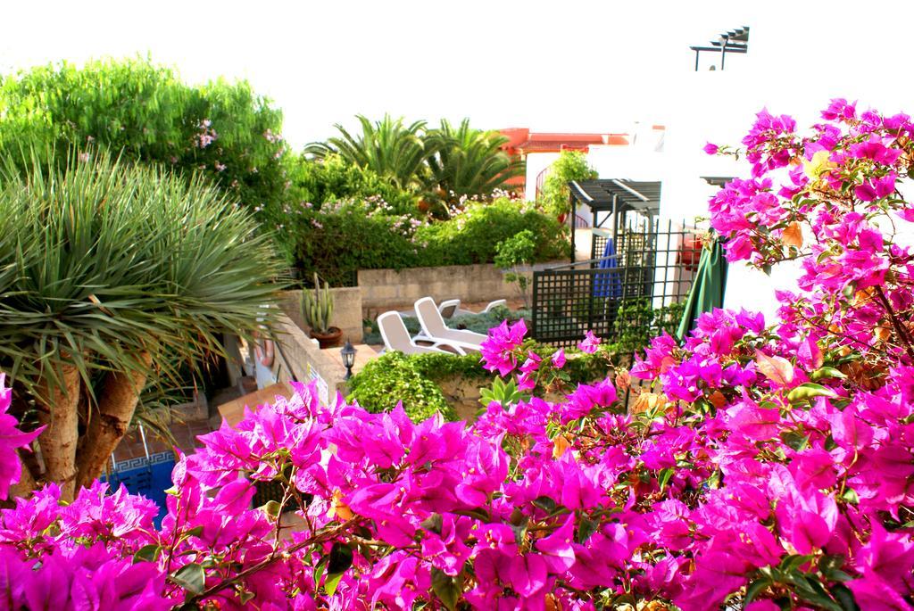 Casa San Miguel Daire San Miguel de Abona Dış mekan fotoğraf
